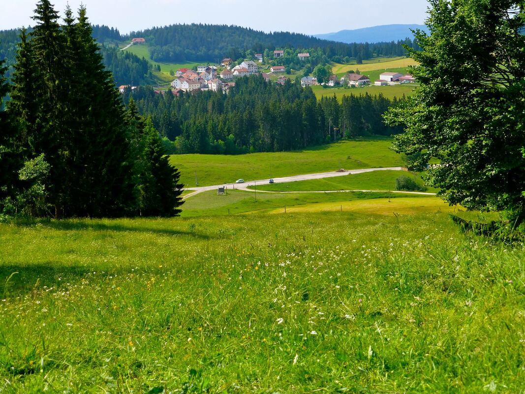 Randonnées à travers les champs